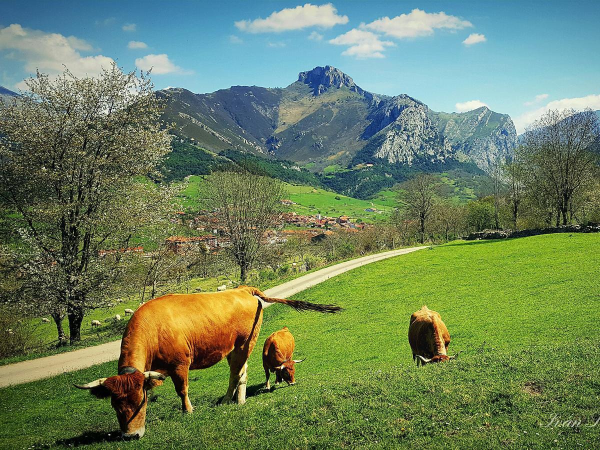 Hotel La Rivera Arenas De Cabrales Dış mekan fotoğraf